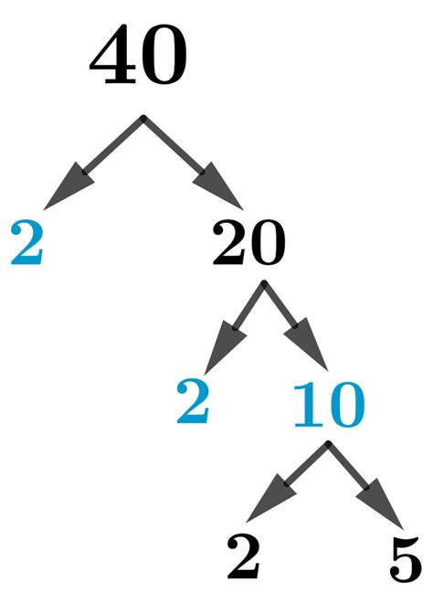     40|Factors of 40 